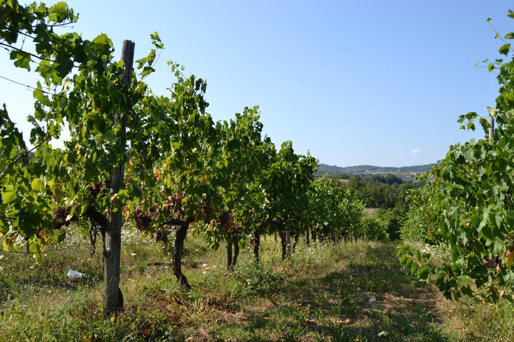 Agriturismo La Querce Rignano sullʼArno Eksteriør billede