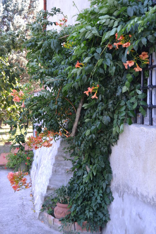 Agriturismo La Querce Rignano sullʼArno Eksteriør billede