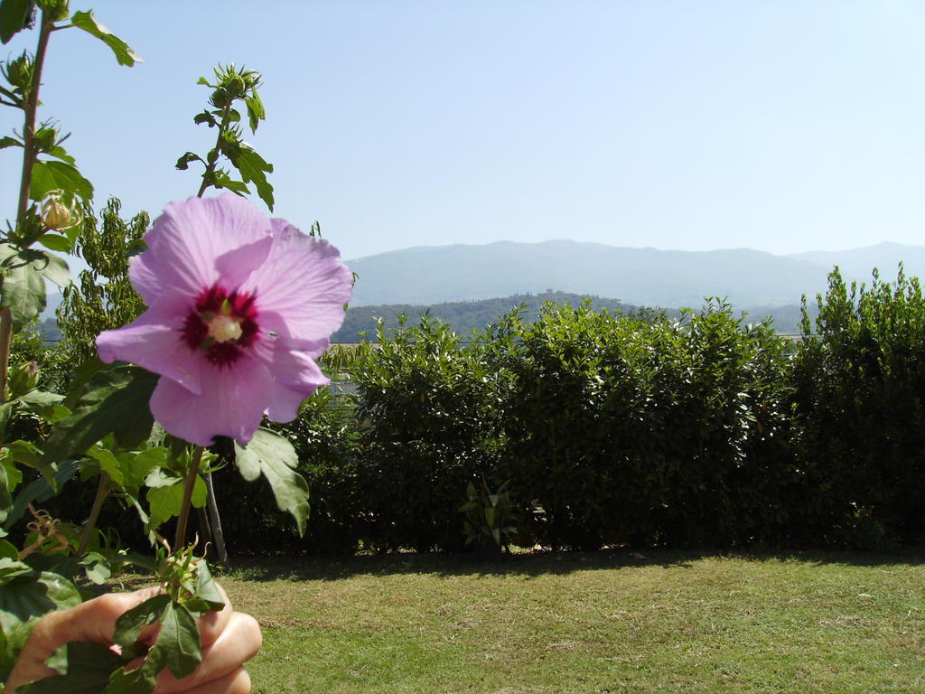 Agriturismo La Querce Rignano sullʼArno Eksteriør billede